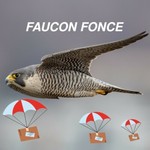 fauconfonce
