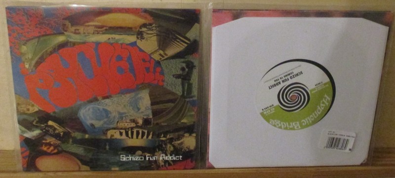 Schizo Fun Addict â Psychedelic 7