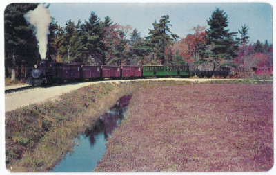 Express Freight through Cranberry Plantation Edaville South Carver MA Postcard