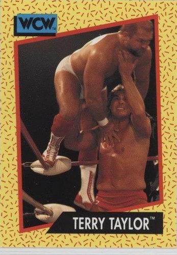 1991 Impel WCW - Terry Taylor #70