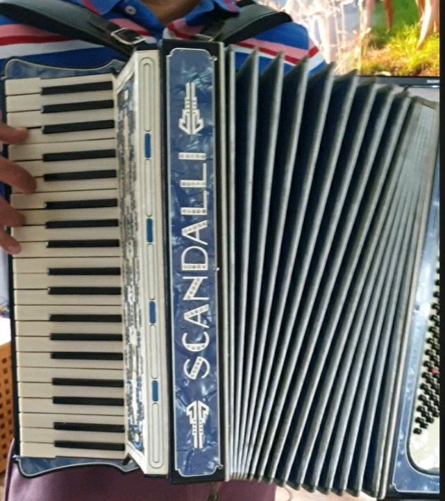 SCANDALLI Vibrante Three Piano Accordion in Gravesend, Kent Gumtree