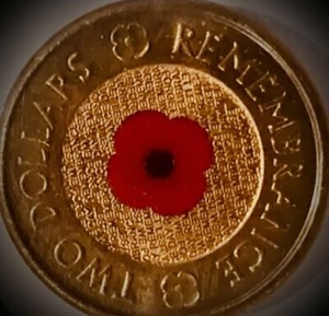 2 dollar red poppy coin 2012 remembrance 30 coins in total