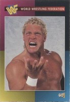 1995 WWF Magazine Cards - Sid #46