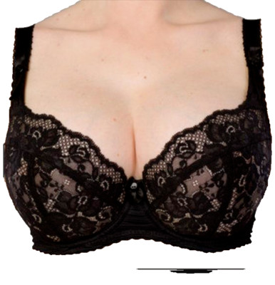 Ewa Michalak Effuniak Sm Underwire Bra 70E (De Gr.70F) UK 32E Lace Hand Work