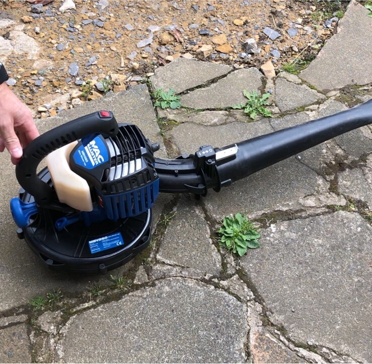 Macallister Leaf Blower at Power Equipment
