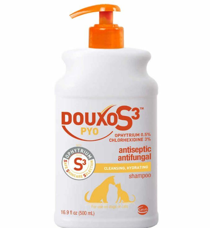 Douxo Chlorhexidine PS Pet Shampoo with Climbazole Made in USA