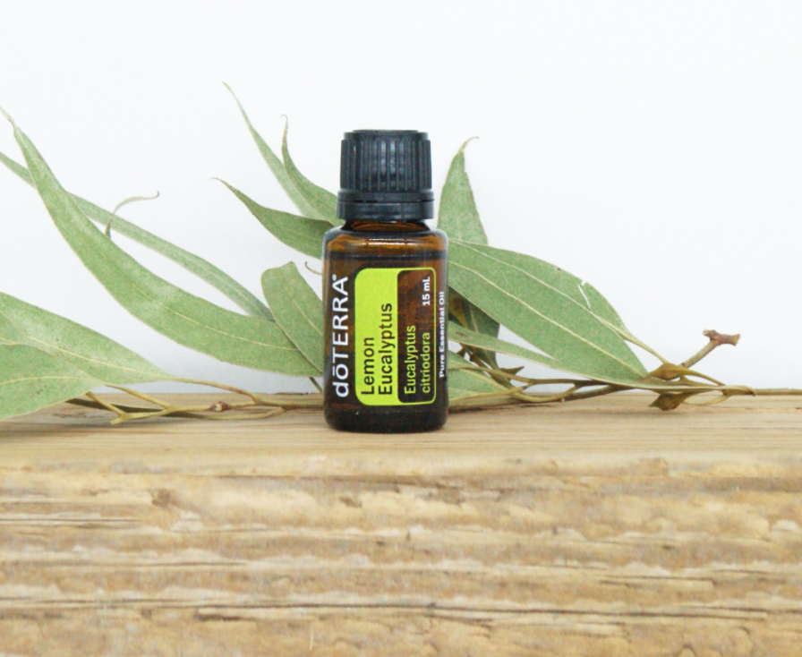 eimi】doTERRA レモンユーカリ ピューリファイ 15 アロマ レモン