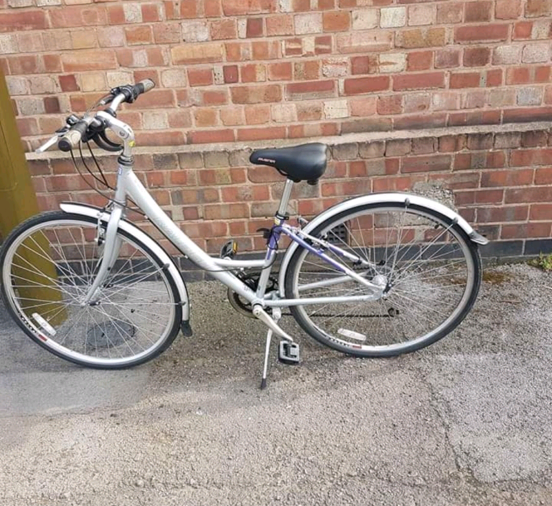 raleigh pioneer 140 ladies bike