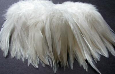 Chinese Rooster Saddle Hackle Feathers - Strung Ivory - 4-5" -  50 Pcs.