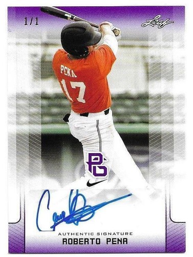 2017 Leaf Perfect Game National Showcase - Roberto Pena #BA-RP1