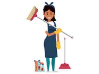 Domestic Cleaner, Deep cleaner(end of tenancy) and Ironing lady.😊