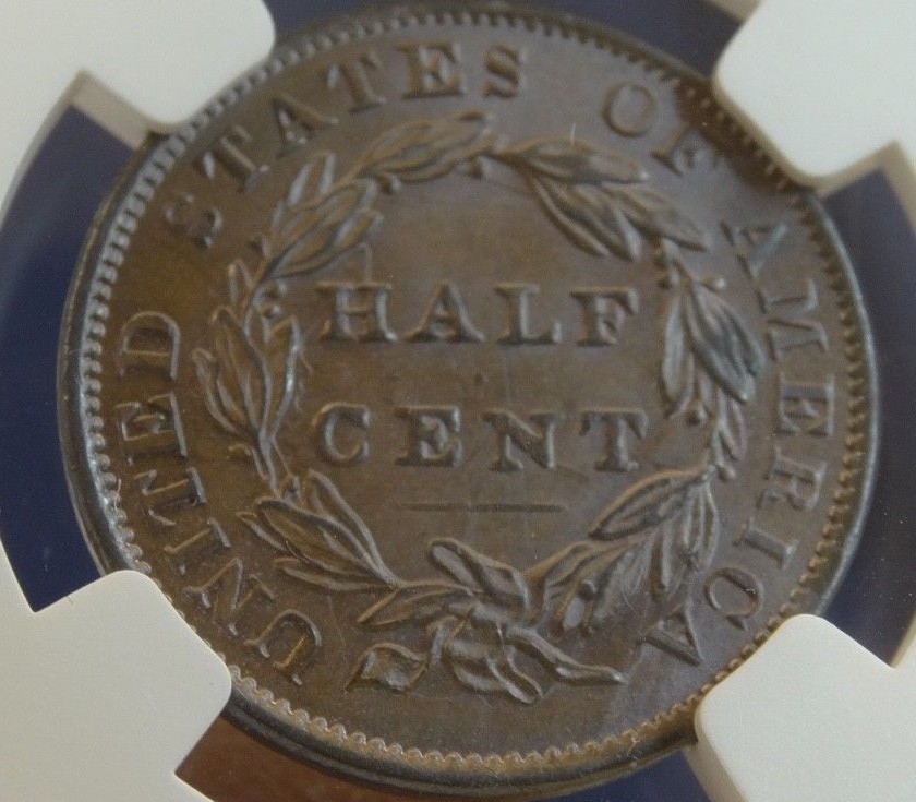1834 CLASSIC HEAD MS 62 BN NGC UNITED STATES HALF CENT (PURPLE/BLUE) - 1/2C  C-1