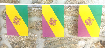 Bandera de Mardi Gras Bunting - 6 m con 20 banderas