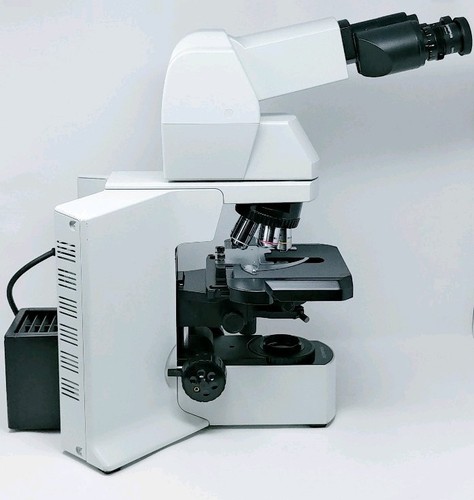 Olympus Microscope BX51 with Tilting Telescoping Head