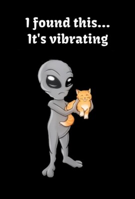 I Found This It's Vibrating Happy Cat Kitten Alien Holding Pet Funny Love MAGNET