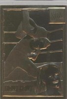 1999-2005 Danbury Mint 22k Gold WWF/E - Molly Holly #58