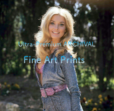 Barbara Bouchet Sideboob In Pink Sequin Bra Hi Res Pro Archival Photo 8 5x11 のebay公認海外通販 セカイモン