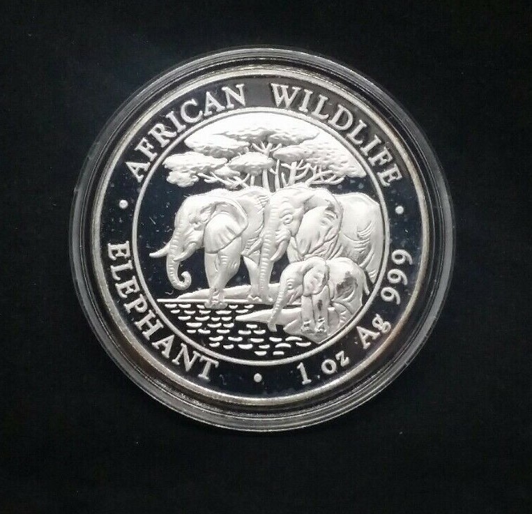 2013 100 Shillings Somalia Silver Elephant 1 oz .999 Fine Silver Free Shipping!