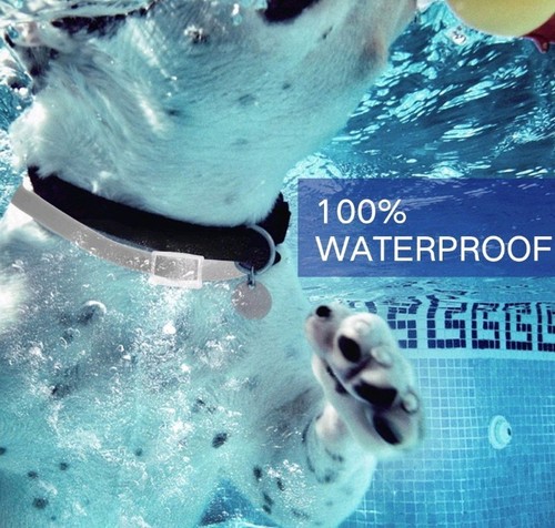 Anti Flea and Tick Collar for Dog-8 Month protection Free Shipping