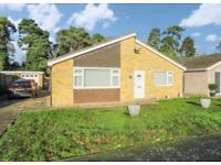 1 double bedroom available in 3 bed detached large bungalow 
