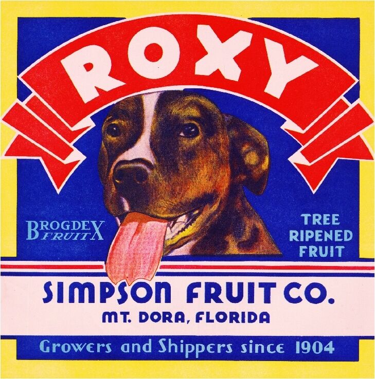 Mt. Dora Roxy Pit Bull Terrier Dog Florida Orange Citrus Fruit Crate Label Print