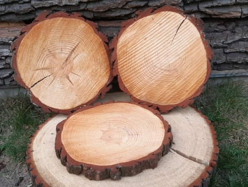  Baumscheiben Holzscheiben Floristik  rustikale Deko basteln 25-30 cm 