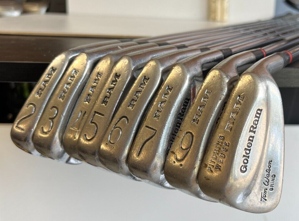 Golden Ram Tour Grind Golf 2-7 9-PW Irons Steel Golf club set Missing 8 Iron