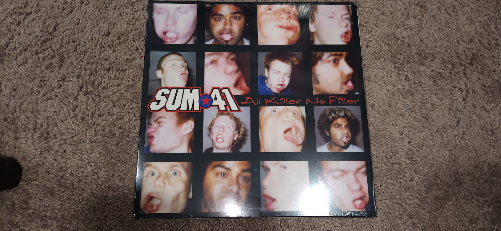 SUM 41 / All Killer No Filler LPレコード Sum 41 – All Killer No Filler – Cassette (Album, Stereo