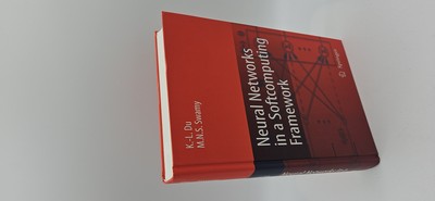 Neural Networks in a Softcomputing Framework