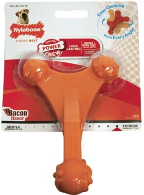 Dog, Nylabone Dura Chew Axis Bone Chew Toy - Bacon Flavor (For Dogs over 50 lbs)