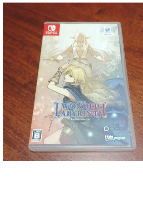 Nintendo Switch WONDER LABYRINTH: Nintendo Switch Record of Lodoss War-Deedlit in Wonder Labyrinth- for