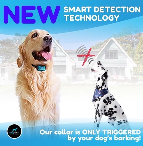 Bark Collar by DogTECH: No Shock Humane Training Collar, Sound and Vibration