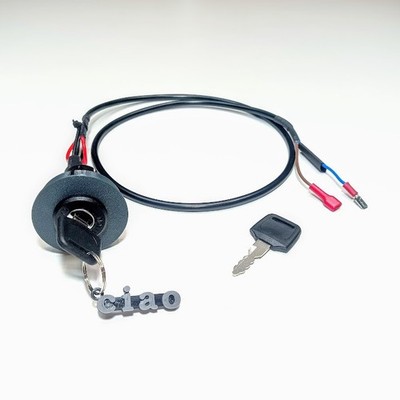 INTERRUTTORE A CHIAVE STACCAMASSA PER PIAGGIO CIAO ACCENSIONE TAPPO FARO MOPED