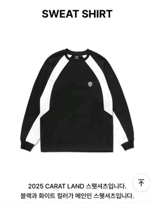SEVENTEEN セブチ CARATLAND 2025 SWEAT SHIRT SEVENTEEN セブチ CARATLAND 2025 SWEAT SHIRT seventeen 2025