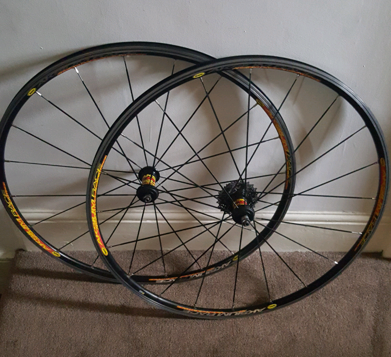 mavic aksium elite disc