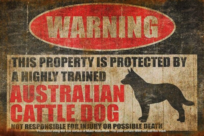 AUSTRALIAN CATTLE DOG Rustic Vintage Look Home Garage Shop Décor