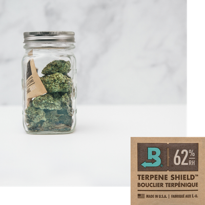Boveda 62% RH 2-Way Humidity Control - Protects & Restores - Size 8 - 10 Count