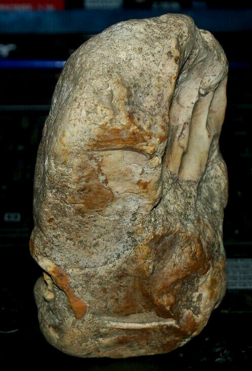 Authentic multi use hand tool with documentation Paleolithic Prehistory