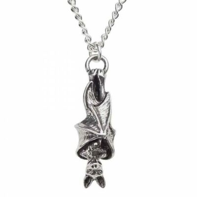 Alchemy Gothic Awaiting The Eventide Unisex Pendant Necklace   Local Stock   ...