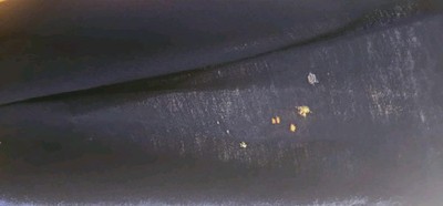 Artikelfoto(s) von einem verifizierten Käufer