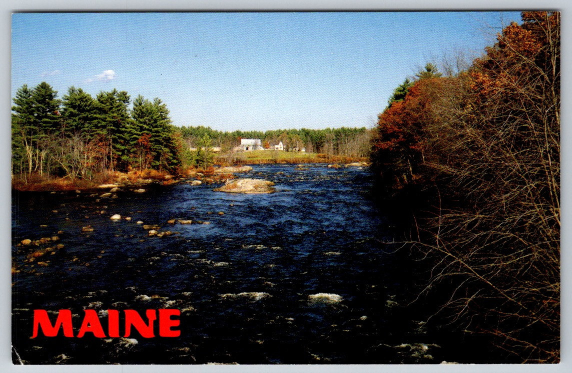 Limington Rip Rapids Saco River Coast Maine Me Postcard VTG