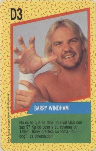 1991 Cromy WCW - Barry Windham #D3