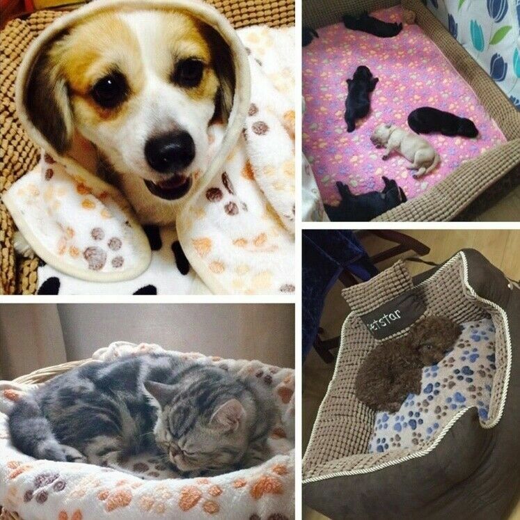 warm-pet-blanket-dog-cat-soft-coral-fleece-paw-printed-bed-mat