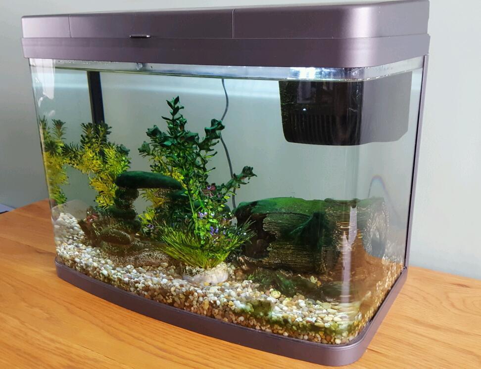 Aquarium Tropical Cold Water Love Fish Panoramic 40 Aquarium Tropical Cold Water Love Fish Panoramic 40