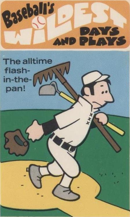 1974 Fleer Cloth Patches - Joe Borden #33