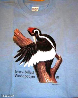 Ivory Billed Woodpecker T-shirt M 2XL NWT NEW Birds Cotton Blue