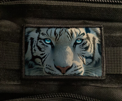 Mento Mori gun Patch Danger Morale Hook [sub]