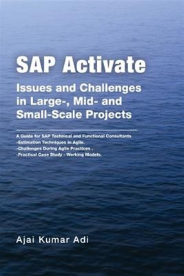 Sap Activate : Issues and Challenges in Large-, Mid- and Small-scale Projects...