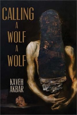Calling a Wolf a Wolf (Paperback or Softback)