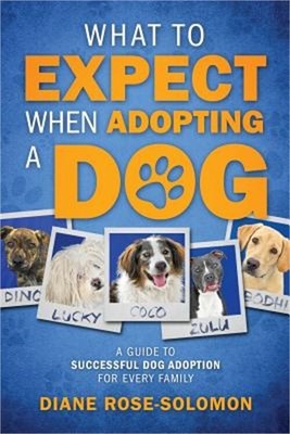 What to Expect When Adopting a Dog: A Guide to Successful Dog Adoption for Every